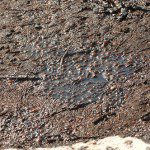 4704921640_501dfd8db1