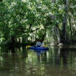 hirkayakingonhillsboroughriver-karenlueck