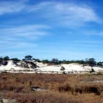 stg-dunes-mar