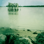 CedarKey