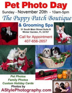 PuppyPatchNovB_72