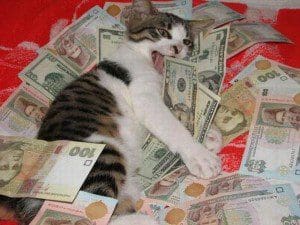 catmoney