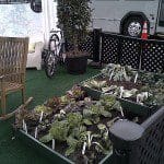 City of Orlando display resembles "controversial" front-yard garden.