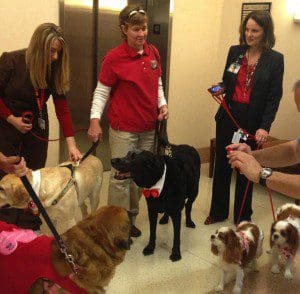 Pet therapy teams at MD Anderson – Orlando pose for photos on their parade through the hospital on Valentine’s Day. February 14, 2013 (Photo: MD Anderson-Orlando)