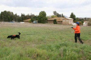 Judy_ZepSearchingPointing