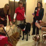 Pet therapy dogs at MD Anderson - Orlando (File photo: MD Anderson-Orlando)