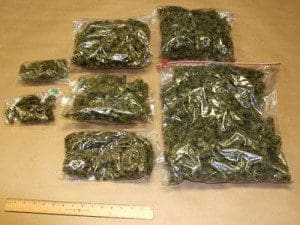 marijuana_large