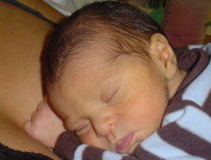 (Screen shot - wiki media)