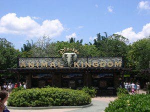 Animal-Kingdom-Entrance