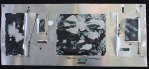 Felicia Man Nature Tech 