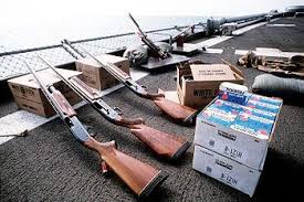 (Image: Wikimedia commons)