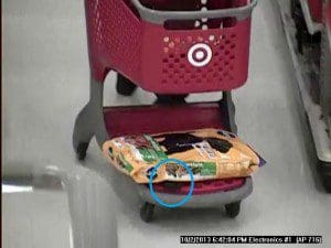 In circle, cell phone tucked under bag of dog food. 