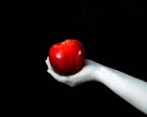 3106075915_53bb8efc29_z1