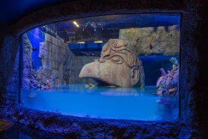 Sea Life Orlando began filling the aquarium's Atlantic Ocean habitat with more than 192,000 gallons of water, Feb 24, 2014. (Photo courtesy: Merlin Entertainments)