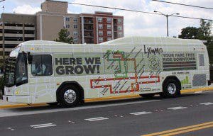 LYMMO Grapefruit Line 