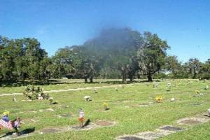 woodlawncemeteryfinal