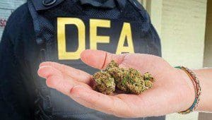 DEA 1