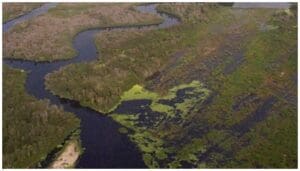 oil drililng in Florida Everglades