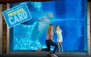 SeaWorld preschool card