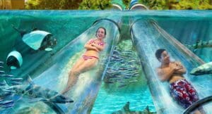 Aquatica Orlando Reef Plunge new