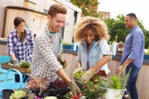 Orlando urban gardening