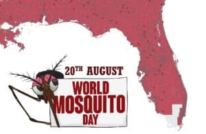 Mosquito Prevention Tips Orlando Florida