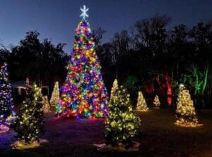 Wekiva Island Winter Wonderland