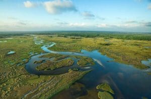 Florida Wildlife Corridor 