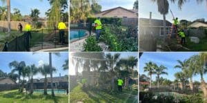 Central Florida Foster Parent of the Year - Embrace Families