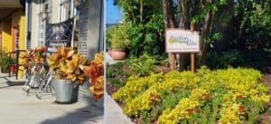Tavares America in Bloom