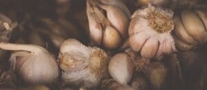 sewage garlic