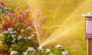 water restrictions