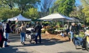 plant sale Leu Gardens 
