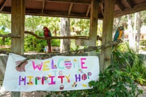 Hippity Hop Adventure Central Florida Zoo 