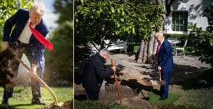President Trump Jackson Magnolia