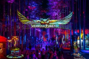 Electric Forest experience