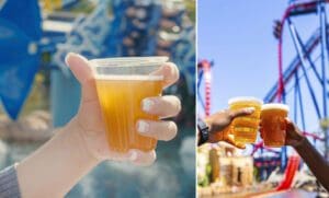 Free Beer Busch Gardens SeaWorld 
