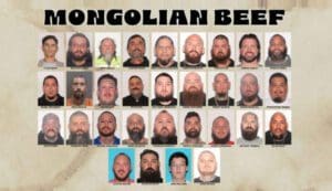 Operation Mongolian Beef 