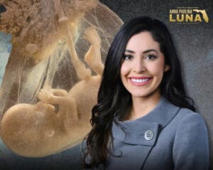 No Surrogacy for Sex Offenders Act