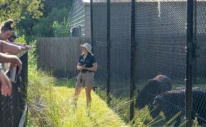 Insider Tours Central Florida Zoo