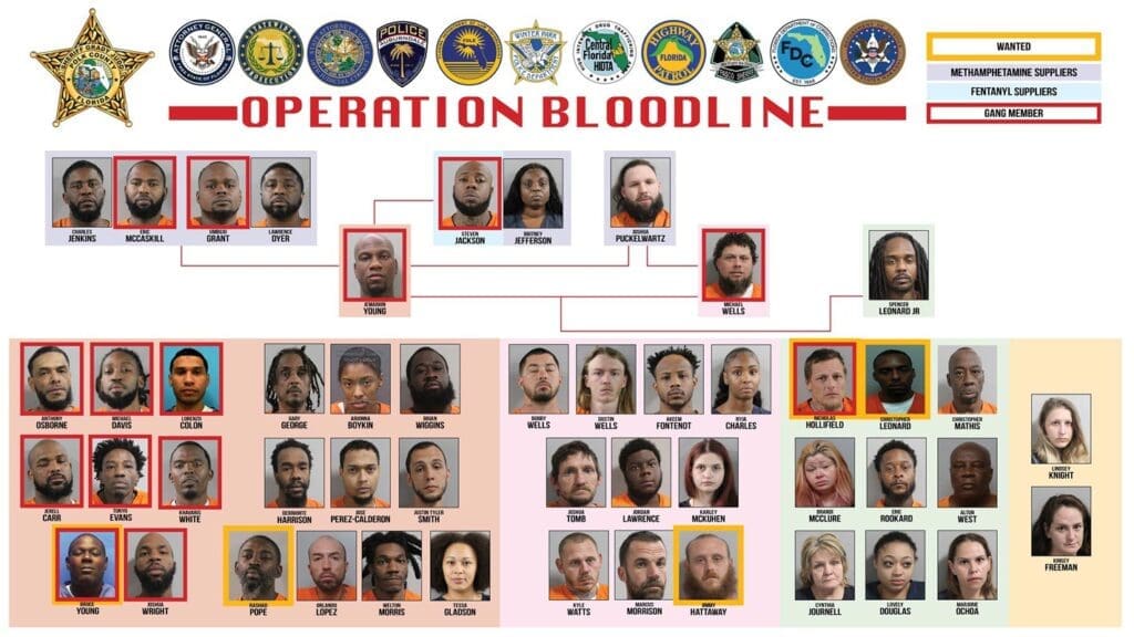 Operation Bloodline Florida